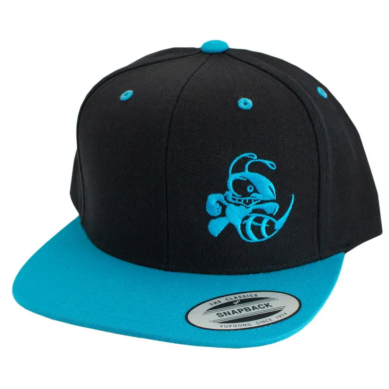 Discraft Two Tone Snapback Hat - Buzzz Design 3