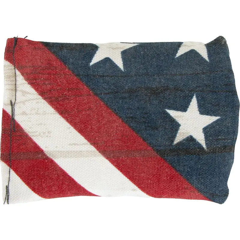 Dynamic Discs Dirt Bag - Usa 1