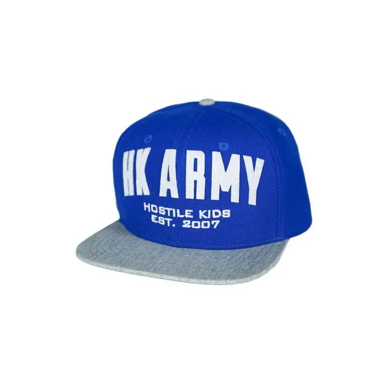 Hk Army - Snap Back Hat - Hostile Kids Blue/Grey 1