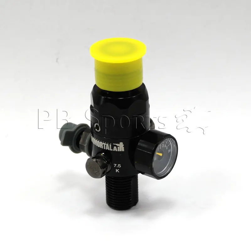 Immortal Air Aura 4.5K Regulator 1