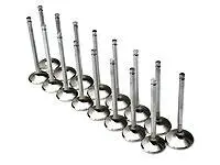 Brian Crower Honda/Acura K20A2/K20A/K24A2 31Mm Exhaust Valves 1