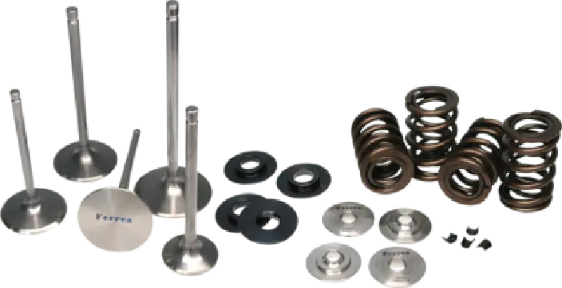 Ferrea 04-07 Honda Crf 250R Single Valve Spring Kit 1